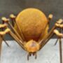 Huge Spider Garden Ornament 35cm Distressed Rusty Metal, thumbnail 3 of 12