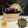 Steam Pot Grow Kit, thumbnail 3 of 4