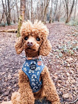 Rainbows In The Forest Dog Harness Sea Green, 5 of 12