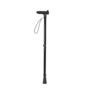 Black Walking Stick, thumbnail 1 of 3