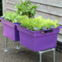 Small Self Watering Plastic Vegetable Planter, thumbnail 2 of 12