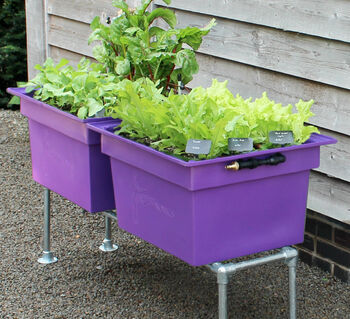 Small Self Watering Plastic Vegetable Planter, 2 of 12