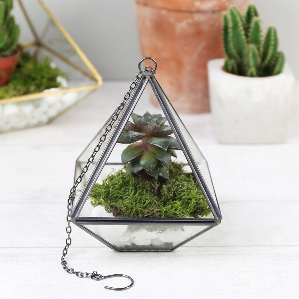 personalised black hanging terrarium by lisa angel | notonthehighstreet.com