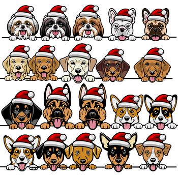 Personalised Dog Christmas Wrapping Paper, 2 of 8