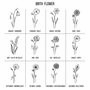 Personalised Birthday Gift Birth Flower Gin Glass, thumbnail 2 of 3