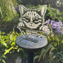 Pet Cat Memorial Colour Changing Solar Garden Light, thumbnail 2 of 7