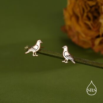 Cute Pigeon Bird Stud Earrings In Sterling Silver, 6 of 12