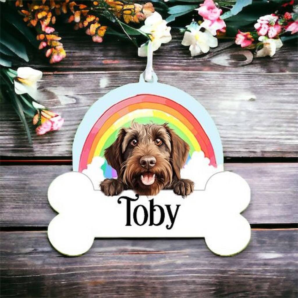 Personalised Wirehaired Pointing Griffon Rainbow Bauble By Floppsie Moppsie
