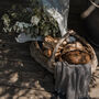 Braided Rattan Picnic Basket, thumbnail 1 of 4