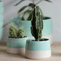 Personalised 'You're Fab' Ceramic Indoor Plant Pot, thumbnail 3 of 8