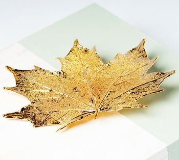Natural Canadian Maple Leaf Silver Or Gold Brooch, 2 of 9