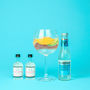 Make Your Own Gin And Tonic Set With Masons Gin, thumbnail 4 of 6