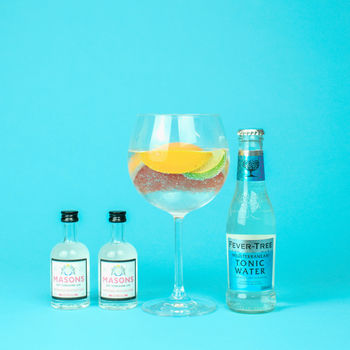Make Your Own Gin And Tonic Set With Masons Gin, 4 of 6