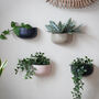 Ceramic 'Wide' Wall Planters, thumbnail 6 of 7
