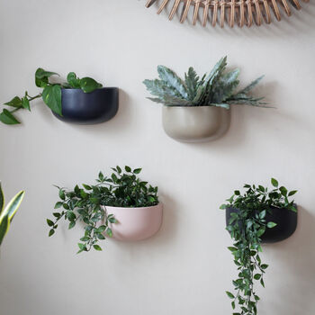 Ceramic 'Wide' Wall Planters, 6 of 7