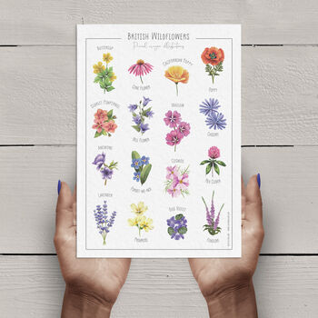Wildflower Art Print In Two Sizes Available, A5 And A4, 3 of 5