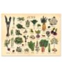 Personalised UK Seasonal Fruit And Vegetable Dateless Wall Calendar, thumbnail 6 of 8