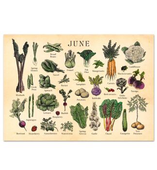 Personalised UK Seasonal Fruit And Vegetable Dateless Wall Calendar, 6 of 8