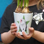 Bunny Rabbit Personalised Plant Pot With Carrot Seeds, thumbnail 1 of 7