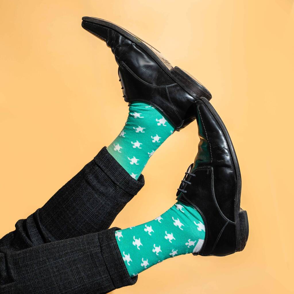 Men's Egyptian Cotton Socks With Turtles On Them, 1 of 4