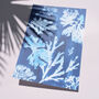 Something Blue Wedding Art Print Gift Seaweed Cyanotype, thumbnail 1 of 3
