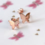 Butterfly Sterling Silver Stud Earrings, thumbnail 8 of 12