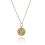 Zodiac Coin Pendant Gold Plated Sterling Silver, thumbnail 7 of 12