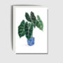 Potted Plant Greeting Card, thumbnail 2 of 2