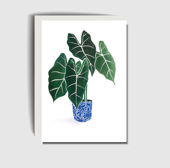 Potted Plant Greeting Card, 2 of 2