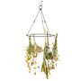Hanging Steel Herb Drying Rack For Flowers, Herbs Gift, thumbnail 2 of 2