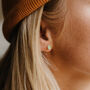 Paua Shell Silver Plated Stud Earrings, thumbnail 1 of 3