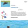 Cornish Chough Greeting Card, thumbnail 3 of 6