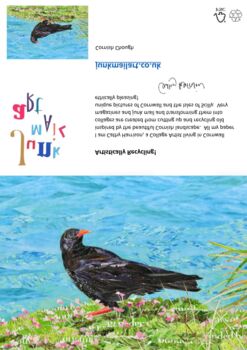 Cornish Chough Greeting Card, 3 of 6