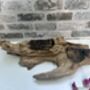 Teak Root Wooden Display With Double Molten Glass Bowls, thumbnail 9 of 11