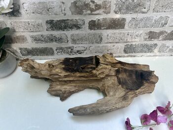 Teak Root Wooden Display With Double Molten Glass Bowls, 9 of 11