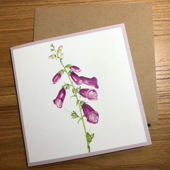 Set Of Four Botanical Art Floral Blank Cards, 3 of 6