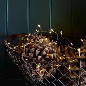 Indoor / Outdoor Cluster Fairy Lights String, 5 of 8