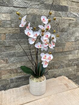 White Mini Artificial Silk Orchid Flower Arrangement Mothers Day Gift, 6 of 6