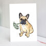 Fawn Frenchie Christmas Card, thumbnail 3 of 7