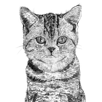 Tabby Cat Portrait Print, 3 of 3