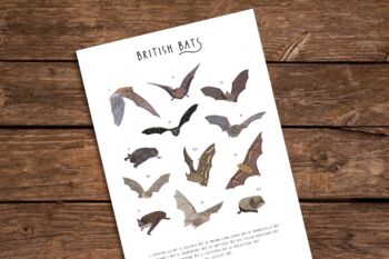 British Bats Print, 5 of 5