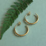 Gold Plated Fern Hoop Earrings, thumbnail 2 of 7