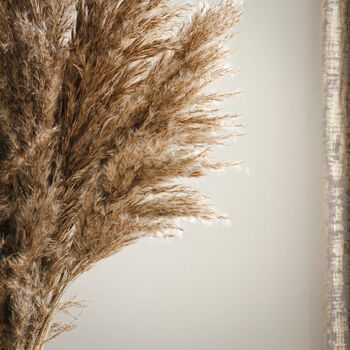Artificial Large Pampas Flowers 12pc Set, 2 of 5