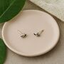 Sterling Silver Seashell Stud Earrings, thumbnail 3 of 7