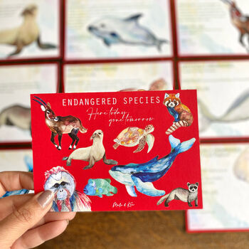 Endangered Species Flash Cards, 2 of 9