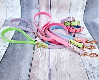 Waterproof Biothane® Dog Collar And Lead Set, 10 of 10