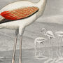 Vintage Flamingo Giclée Wall Art, thumbnail 4 of 4