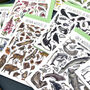 Wildlife Of Britain Greeting Cards Pack Volume Six, thumbnail 8 of 9