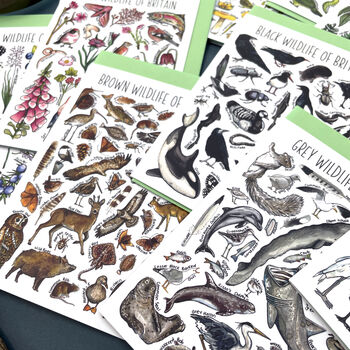 Wildlife Of Britain Greeting Cards Pack Volume Six, 8 of 9