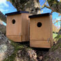 Set Of Four Traditional Wooden Bird Nest Boxes, thumbnail 3 of 6